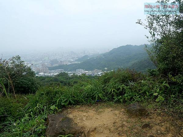 P1214039.jpg