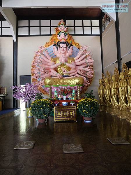 P1215169.jpg