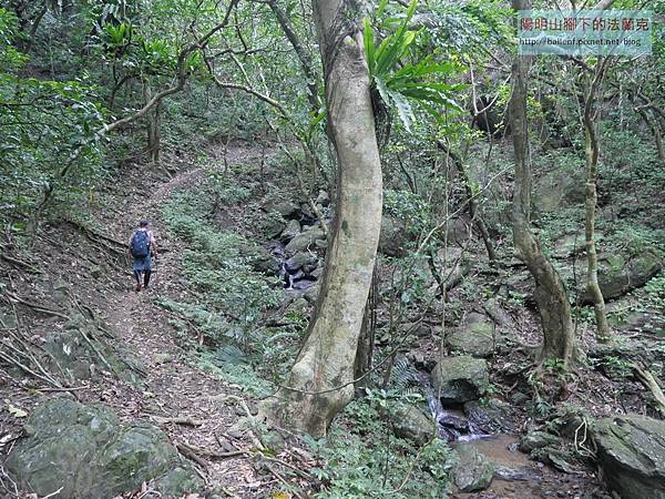 P1217411.jpg P1217411.jpg