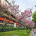 P1217879 (1).jpg