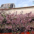 P1217879 (3).jpg