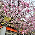 P1217879 (5).jpg