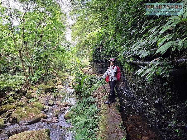 2025-0628 坪頂三圳水源頭-瑪礁古道-新圳頭山-內雙