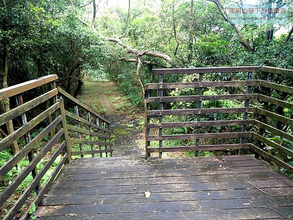 2025-0803 中泰古道-北勢子橋 2025-0803 中泰古道-北勢子橋