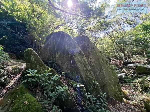 2025-1004 內寮-內寮崙-竹篙山南峰-番婆草原-松石