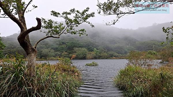 2025-1109 清天宮-向天山南峰-向天池山-向天池步道