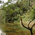 P1050240.jpg