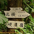 P1070826.jpg