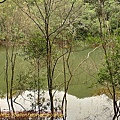 P1050215.jpg