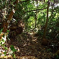 P1060774.jpg