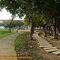P1070697.jpg