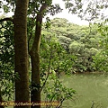P1050256.jpg