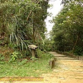 P1050195.jpg