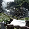 P1040537.jpg