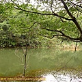 P1050222.jpg