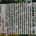 P1070785.jpg