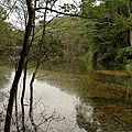 P1050239.jpg