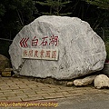P1050167.jpg