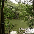 P1050218.jpg