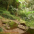 P1070825.jpg