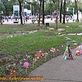 P1070709.jpg
