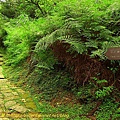 P1060390.jpg