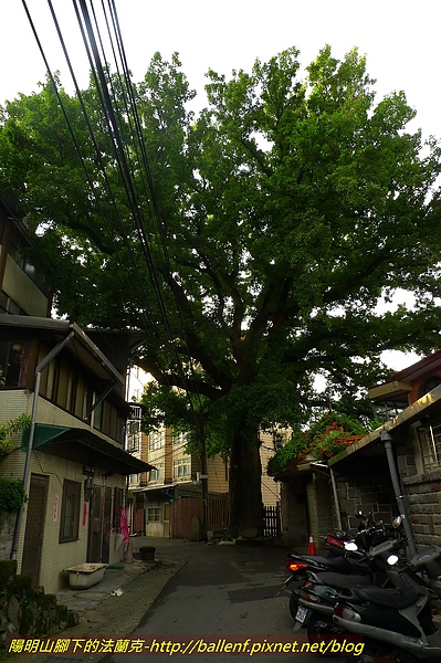 P1010154.jpg
