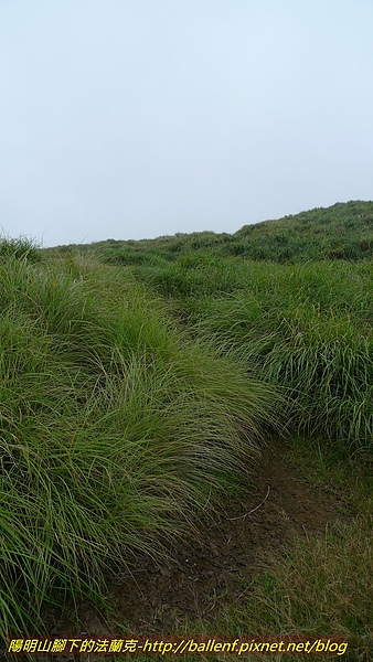 P1030029.jpg