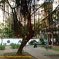 P1070692.jpg