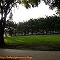 P1070695.jpg