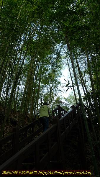 P1210863.jpg P1210863.jpg