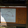 P1040513.jpg