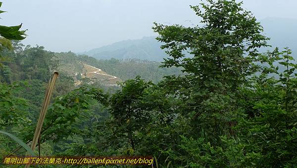 P1210883.jpg P1210883.jpg