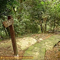 P1050265.jpg