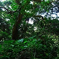 P1060704.jpg