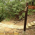 P1050261.jpg