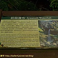 P1060369.jpg