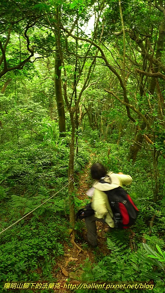 P1000369.jpg