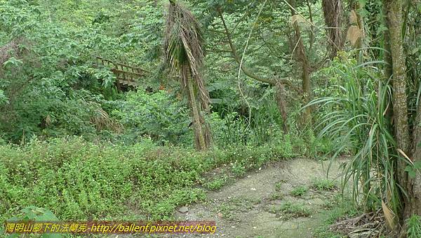 P1210894.jpg P1210894.jpg