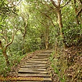 P1070803.jpg