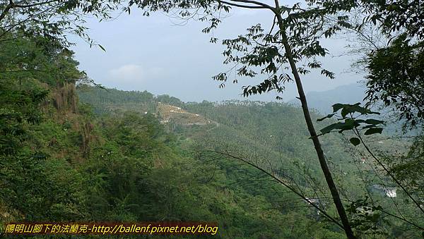 P1210869.jpg P1210869.jpg