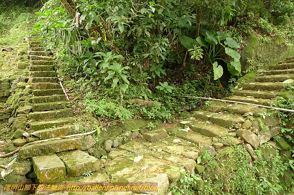 P1060408.jpg