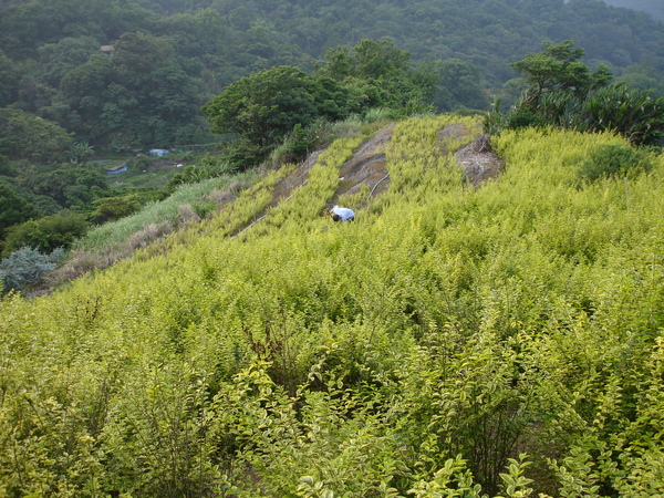 DSC00064.JPG