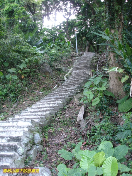 DSC00045.jpg