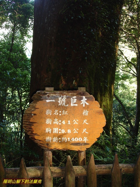 DSC00299.jpg