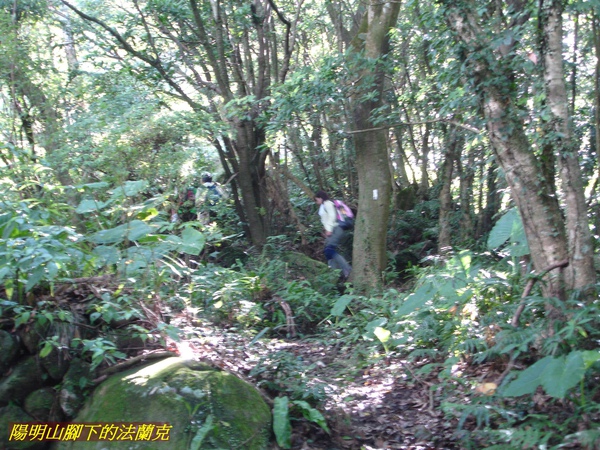 090823 十八彎古道 (13).jpg