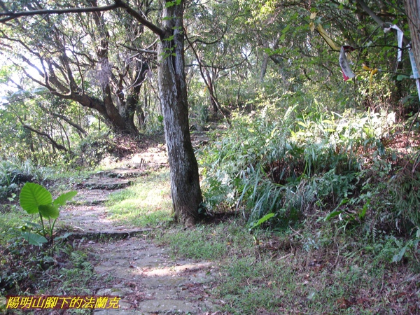 DSC00043.jpg DSC00043.jpg