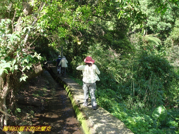 DSC00148.jpg