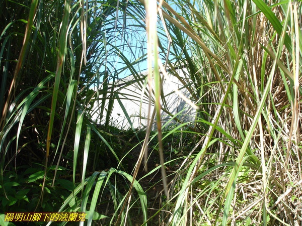 DSC00043.jpg