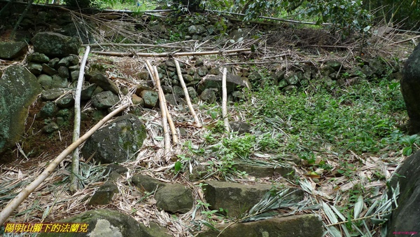 P1000356.jpg
